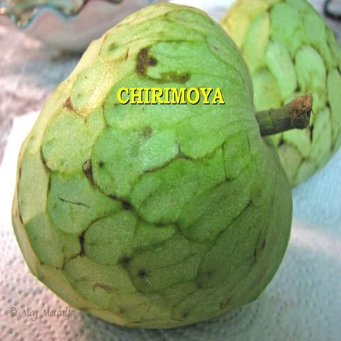 Chirimoya