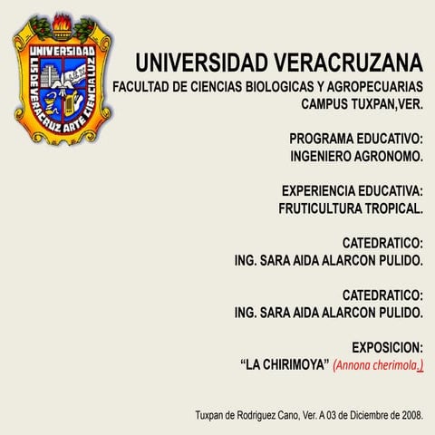 Chirimoya