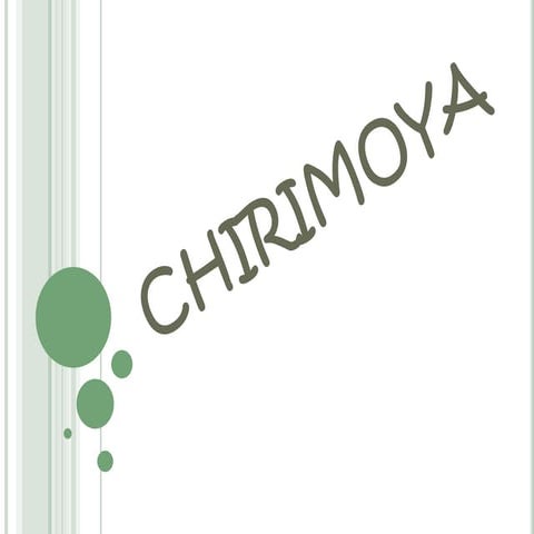 Chirimoya