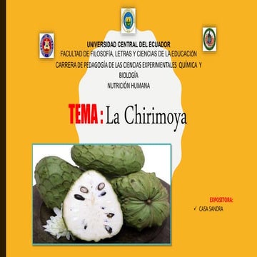 Chirimoya-Sandra Casa