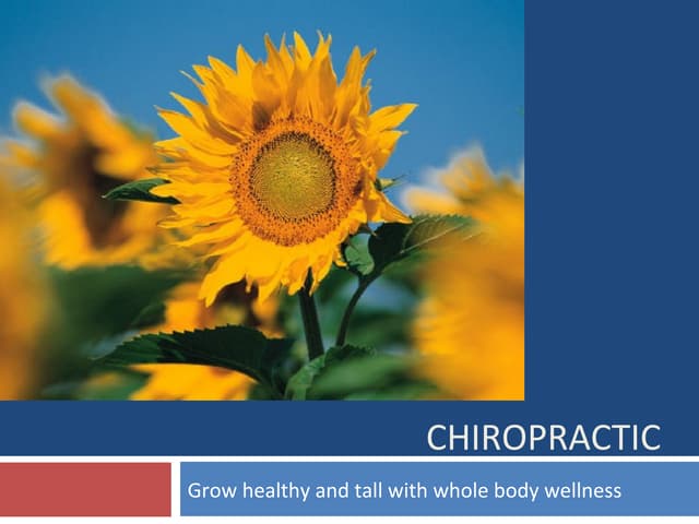 Chiropractice | PPTX