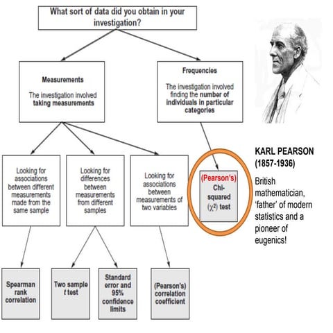 Chi_Squared_Test.ppt Chi_Squared_Test.ppt