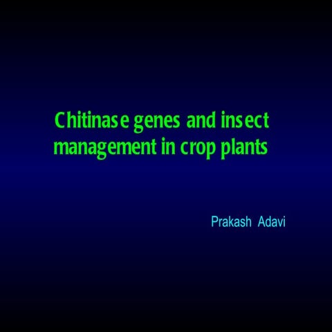 Chitinase genes and insect management in crop plants