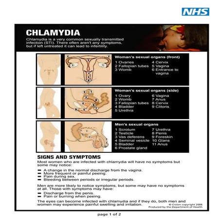 Chlamydia | PDF