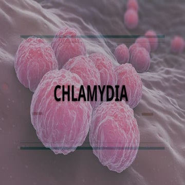 CHLAMYDIA sexually transmitted disease para medical stds med