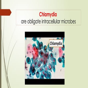 Chlamydia Chlamydophila .pptx