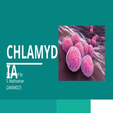 Chlamydia in Medical Microbiology(Bacteriology)
