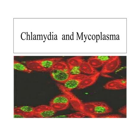 Chlamydia  and mycoplasma