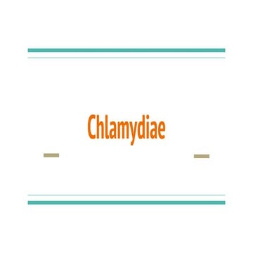 Chlamydia Chlamydophila .pptx