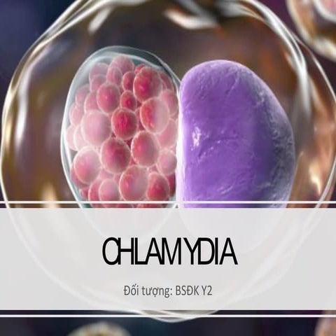 Bài giảng rickettsia, chlamydia, mycoplasma | PDF