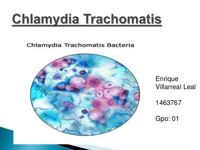 Gambar Chlamydia Trachomatis Chlamydiae - Gatotkaca Search