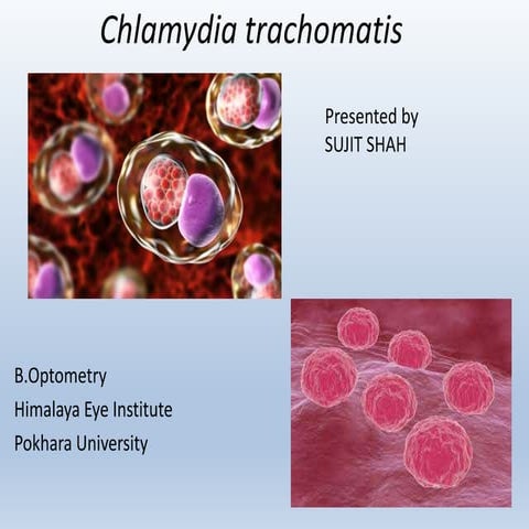 Chlamydia  trachomatis.pptx microbiology