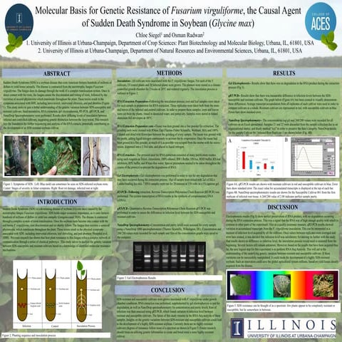 Molecular Basis for Genetic Resistance of Fusarium virguliforme, the Causal A...