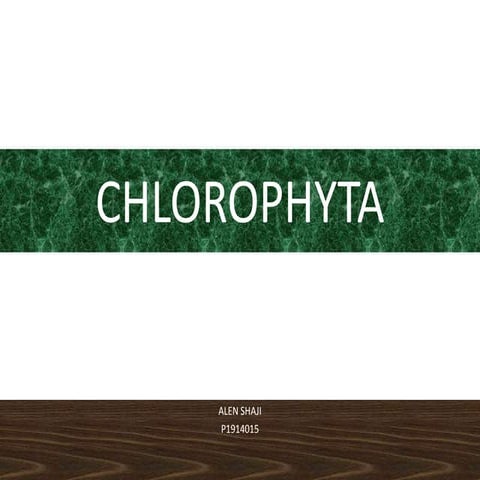 Chlorophyta