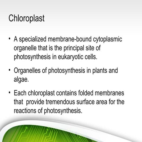 Chloroplast