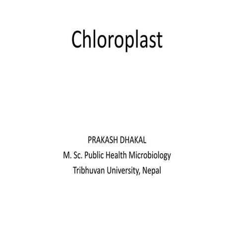 Chloroplast