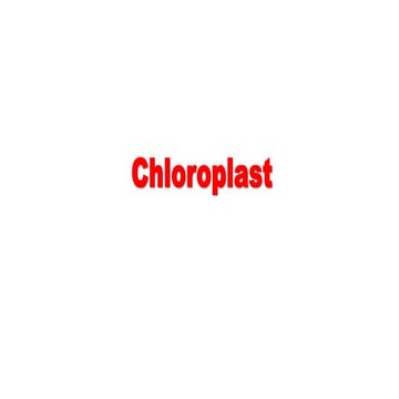 Chloroplast_structure_function_evolution
