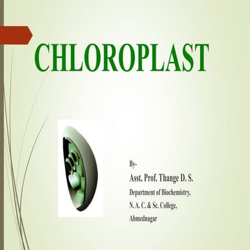 Chloroplast: Structure & functions