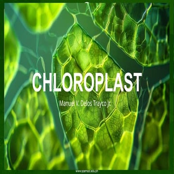 CHLOROPBejdhvdvdbbfbbdhdhehLAST-final.pptx