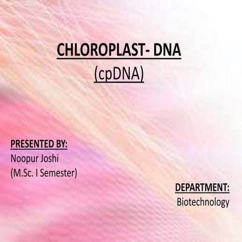 Chloroplast dna