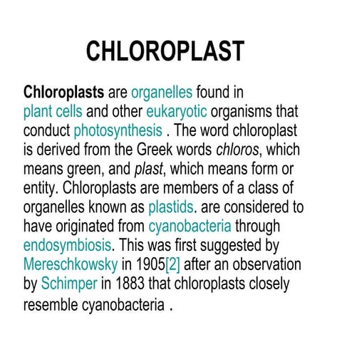 Chloroplastgee1