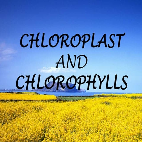CHLOROPLAST AND CHLOROPHYLL