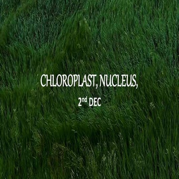 Chloroplast, nucleus, nuclear membrane