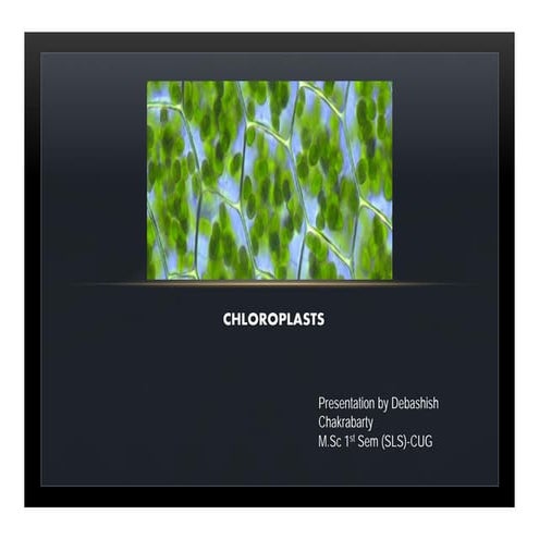 Chloroplasts