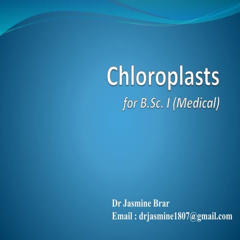 Chloroplasts