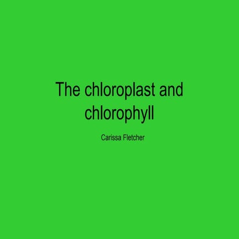 Chloroplasts pigments