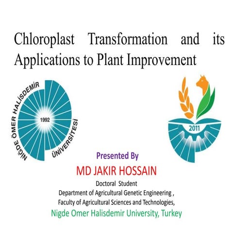 Chloroplast transformation