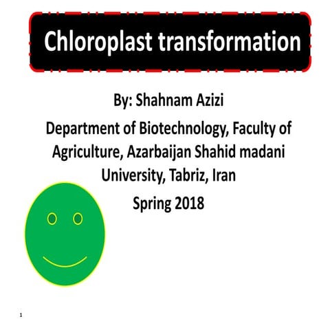 Chloroplast transformation