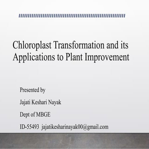 Chloroplast transformation