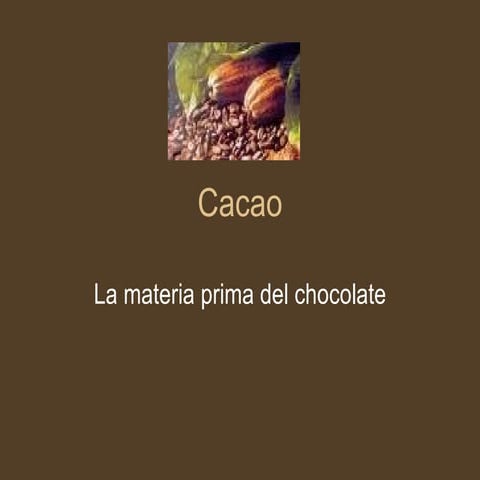 Chocolate cacao