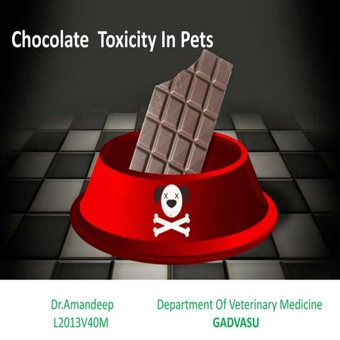 Chocolate toxicity in animals by Dr.Amandeep | PPTX - Chocolate Toxicity Symptoms In Large Animals