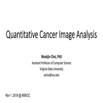 Quantitative Cancer Image Analysis