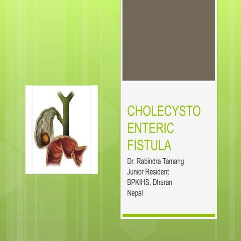 Cholecystogastric fistula