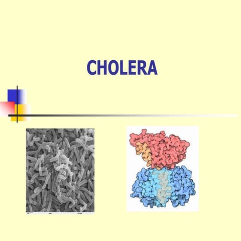 Cholera