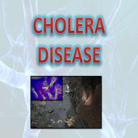 What Is Cholera? | PDF