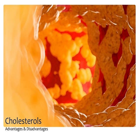 Cholesterol Advantages & Disadvantages 
