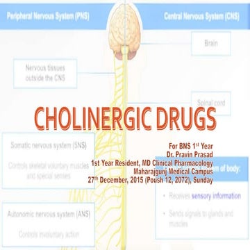 Cholinergic drugs