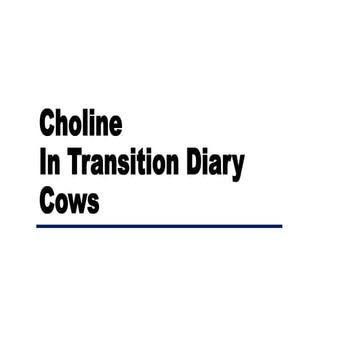 Choline_Transition Dairy Cows_Fatty Liver.pptx