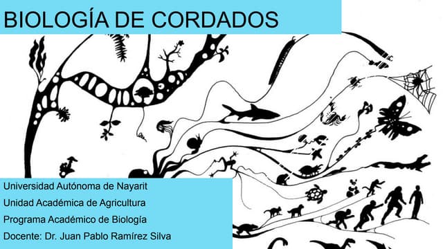 Chondrichthyes: Peces Cartilagenosos