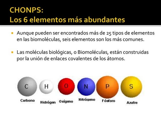 Modelos de moléculas orgánicas.ok | Chemistry | Science