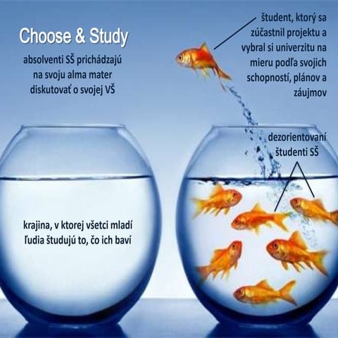 Choose & study