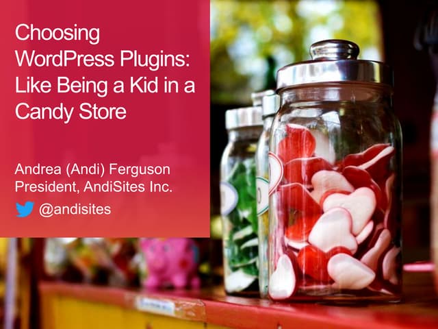 Choosing WordPress Plugins (WordCamp Raleigh 2016)