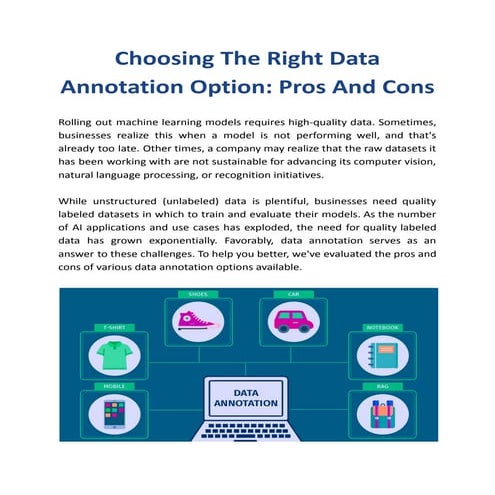 Choosing The Right Data Annotation Option: Pros And Cons