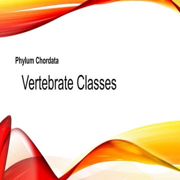 Chordate classes