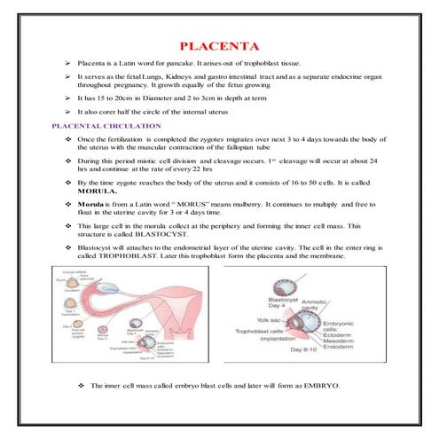 Chorionic villi   copy