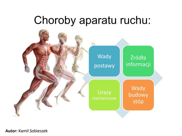 Sprawdzian Z Biologi Z Aparatu Ruchu - Choroby aparatu ruchu | PPTX | Bone and Joint Conditions | Diseases and